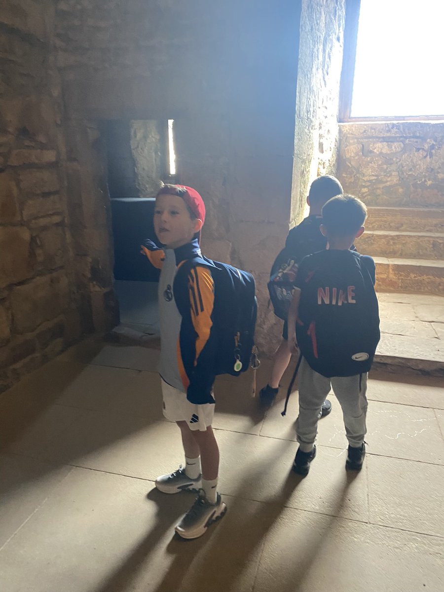 Letham Mains Primary School tweet media