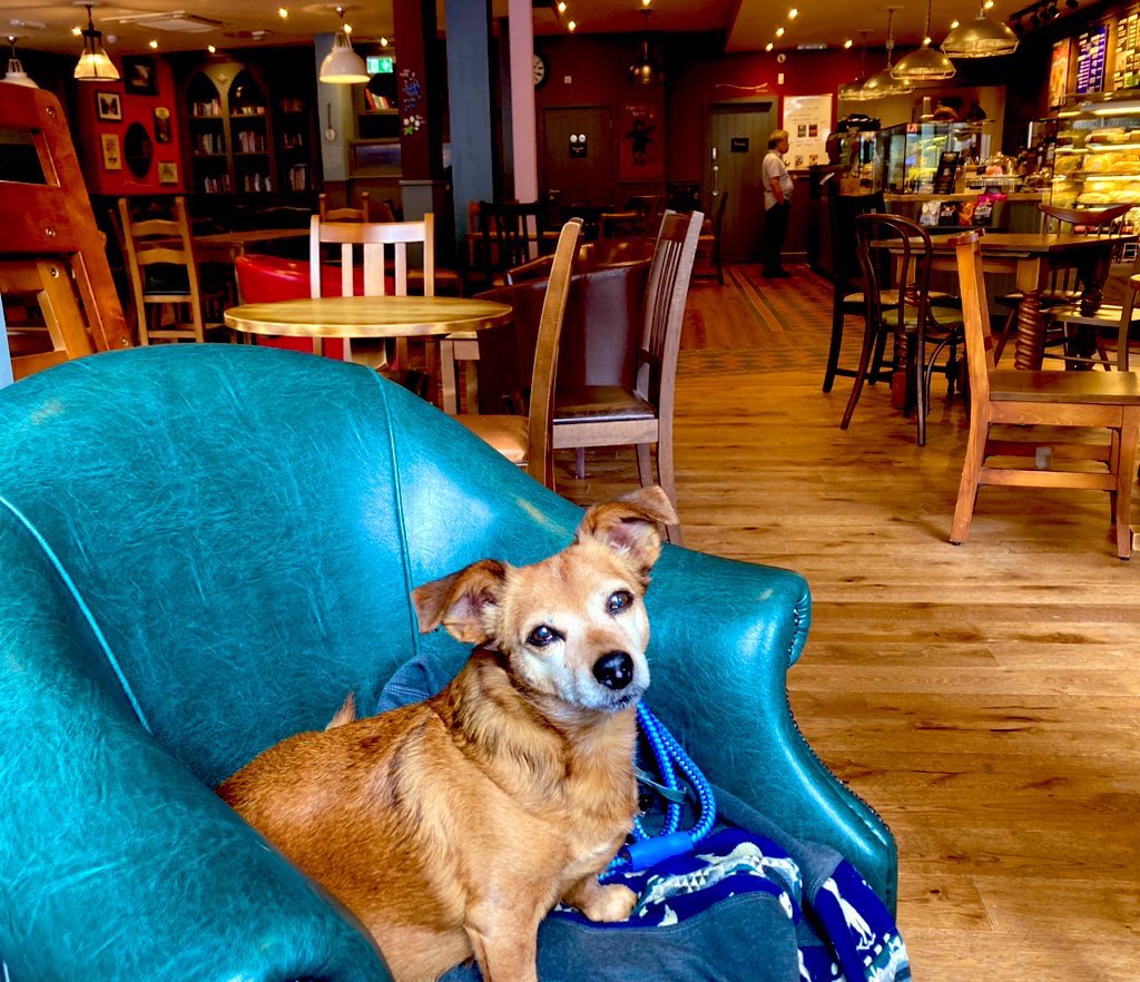 2/2: …there was plenty of barking between the sun loungers as I was told by one stressed German holidaymaker - in early September 2012).

Still a beauty and forever loved. Happy Birthday, Tipo!