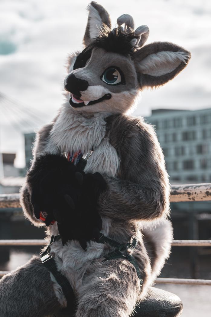 Tevo ๐ฆ+๐ฆ (@tevosilverfox) on Twitter photo It's apparently hug a deer day?
Come hug the durr OwO
๐ธ <a href="/havokhusky/">H A V O K ๐ด๓ ง๓ ข๓ ณ๓ ฃ๓ ด๓ ฟ ๐๐ฏยฎ๏ธ</a> It's apparently hug a deer day?
Come hug the durr OwO
๐ธ <a href="/havokhusky/">H A V O K ๐ด๓ ง๓ ข๓ ณ๓ ฃ๓ ด๓ ฟ ๐๐ฏยฎ๏ธ</a>