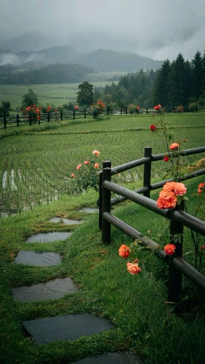 𝘢𝘦𝘴𝘵𝘩𝘦𝘵𝘪𝘤 𝘷𝘪𝘴𝘶𝘢𝘭𝘴 •°. *࿐ (@aestheticwabi) on Twitter photo 