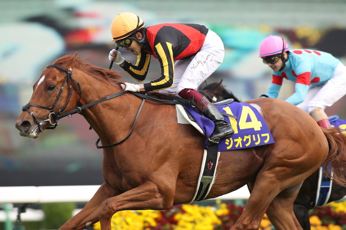 ダイワスカーレット、ドウデュース、アスクビクターモア ダイワスカーレット｜3分でわかった気になる名馬 JRA