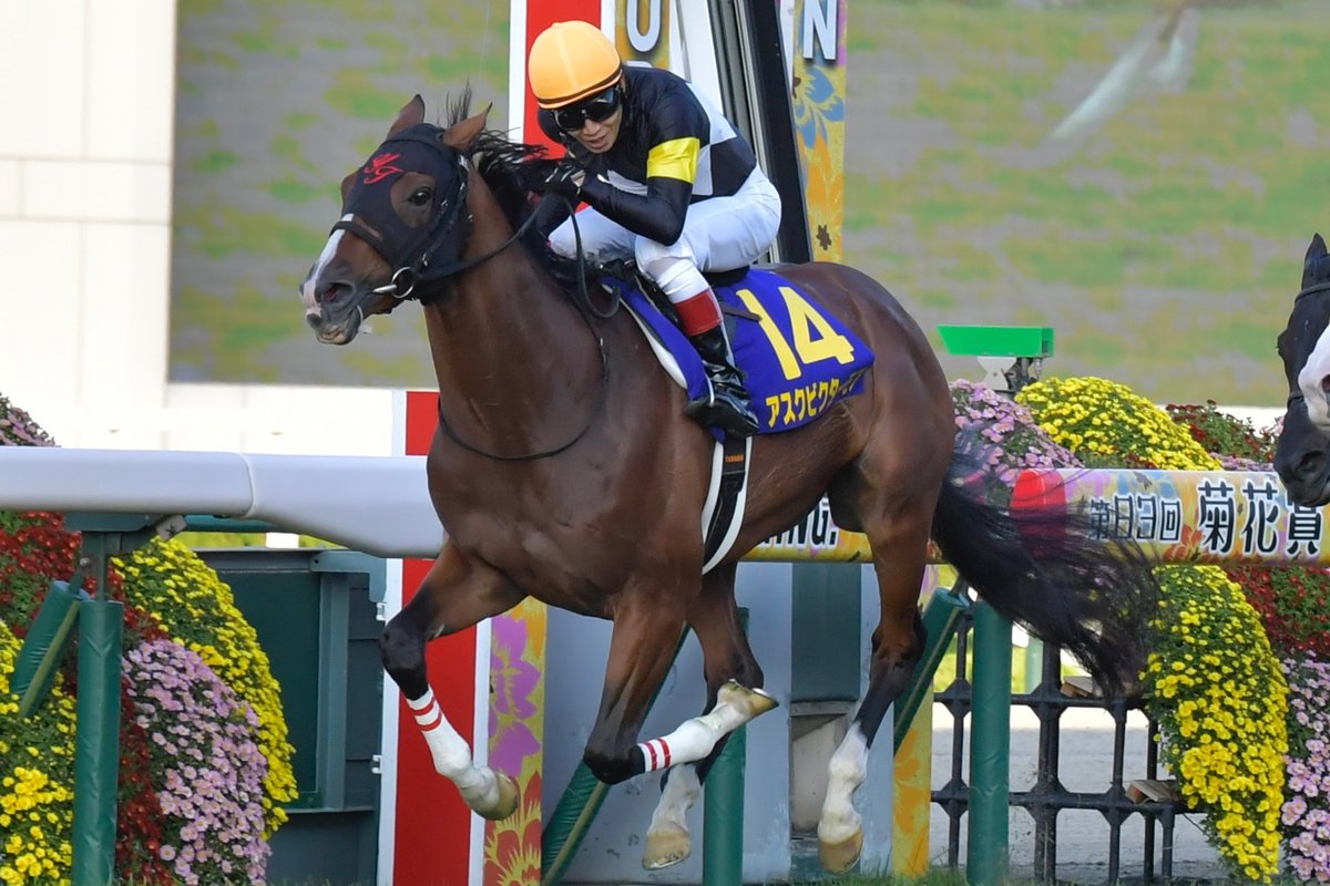 ジオグリフ と #アスクビクターモア は2021年6月26日に東京競馬場の