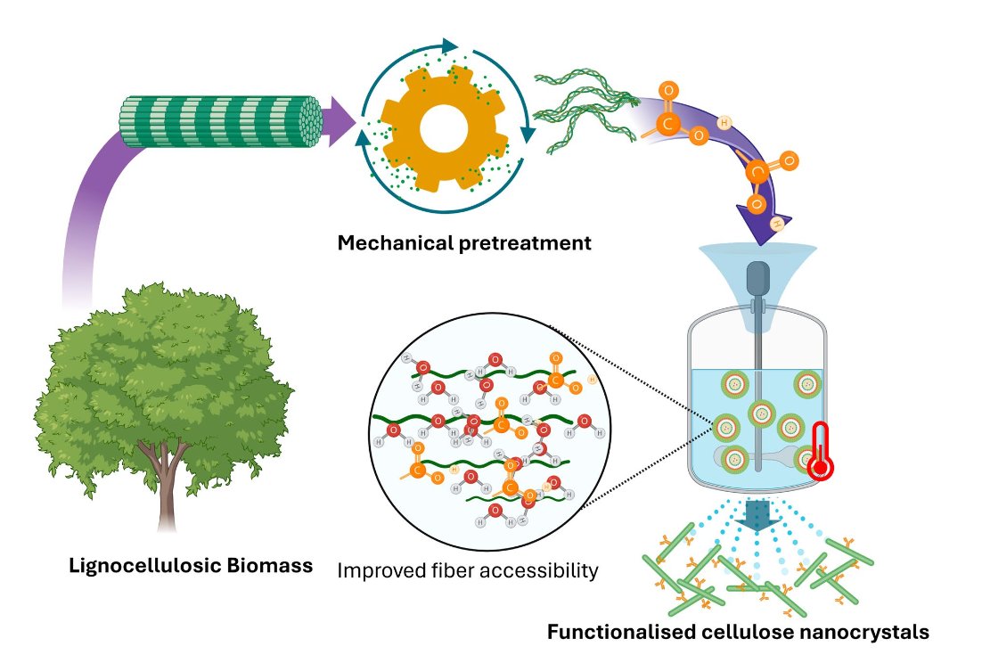 Congrats to Ruby on her latest paper! Advancing sustainability by doubling CNC yield using green subcritical water tech. Improved thermal stability, and stable aqueous dispersions. A big step for industrial-scale bioproducts! <a href="/Rhoubbhie_/">Ruby Osei</a> <a href="/UBCBioProducts/">UBC BioProducts Institute</a> 
link.springer.com/article/10.100…