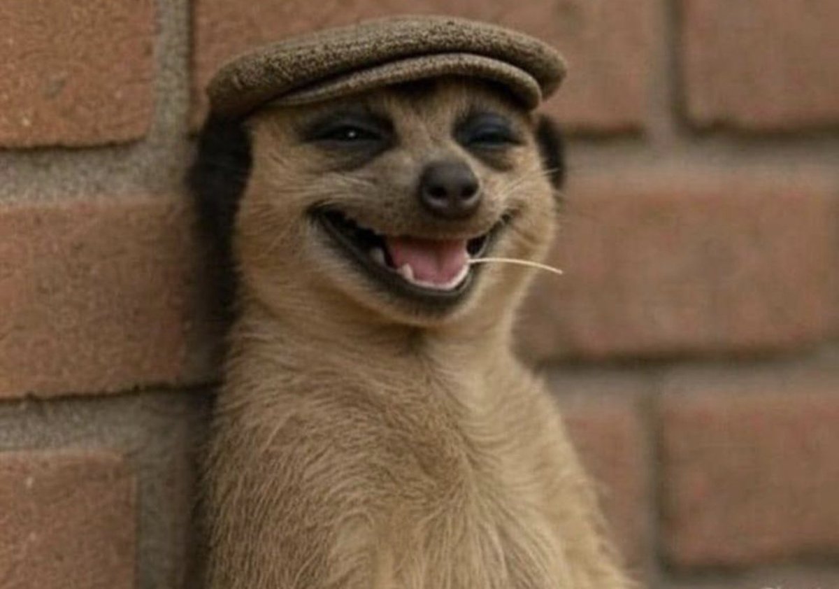 Traders: Spent 4 hours analyzing the market for a position. 
Donald Trump (POTUS):