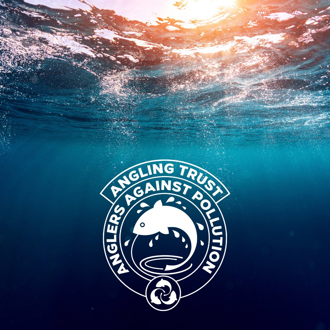 AnglingTrust's tweet image. 🌊 Heading to the coast this weekend? So are we! 🌊
The Angling Trust team will be at the @OrvisUK Saltwater Fly Fishing Festival this Friday 27th June, speaking with anglers about our new Estuary Water Quality Monitoring Network.
From sewage spills to chemical runoff, our…
