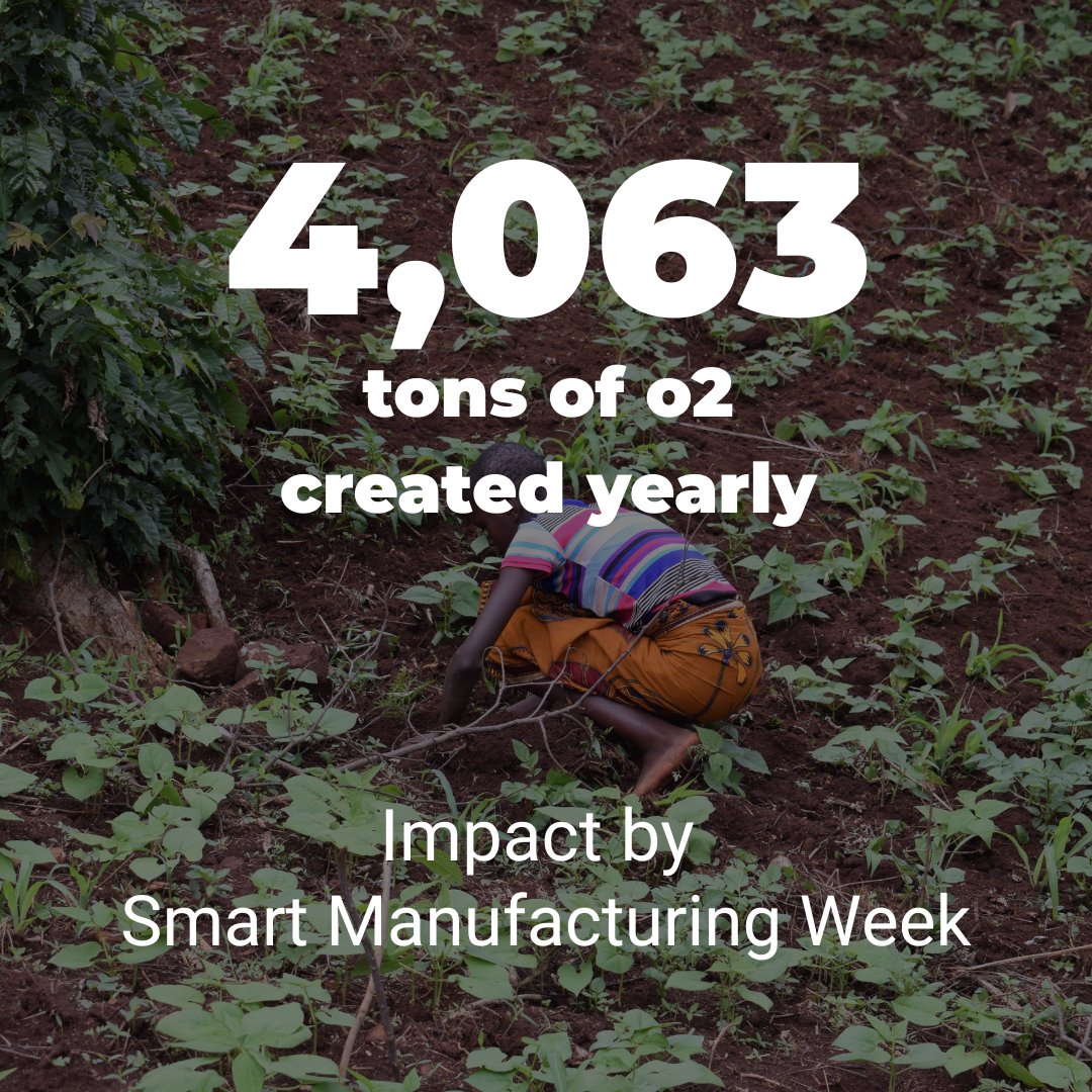 ForestNation tweet media