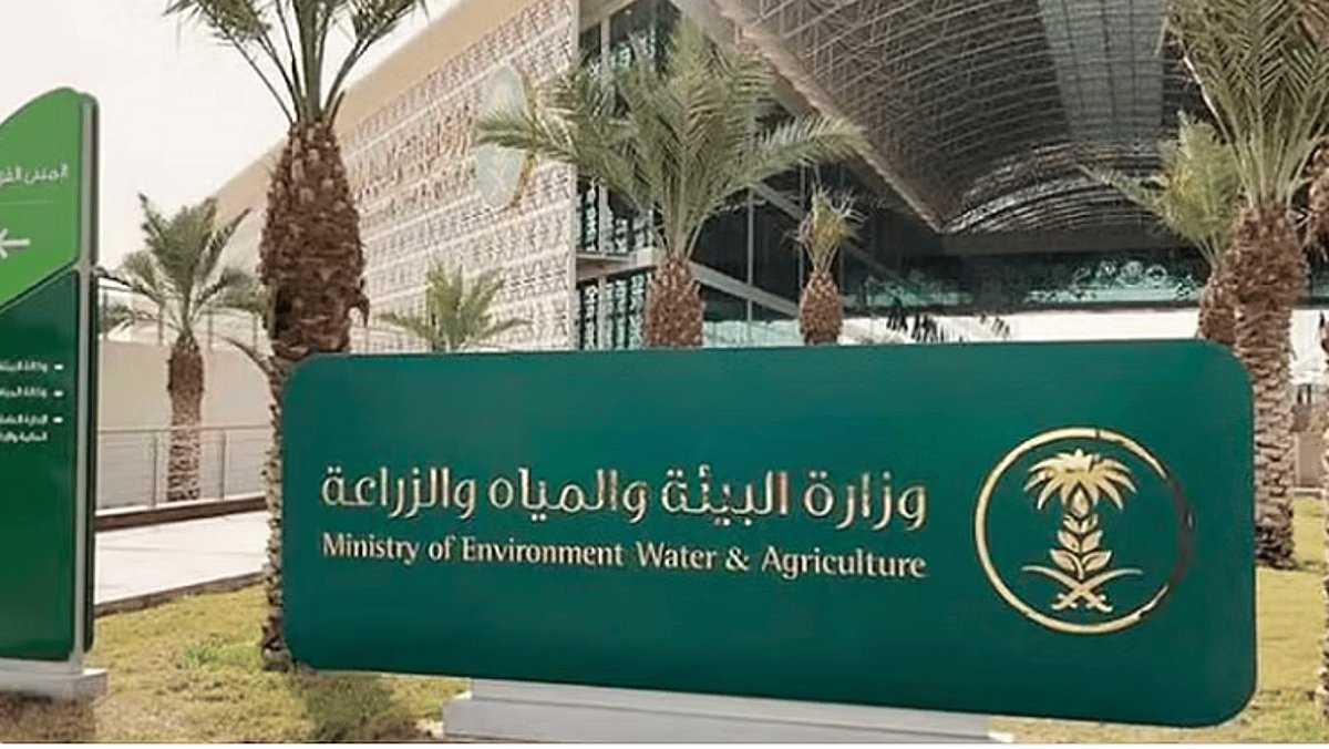 يبدأ، غدا الخميس، تطبيق ضوابط بيع المواشي الحية بالوزن باستخدام موازين معتمدة.
#البوابة