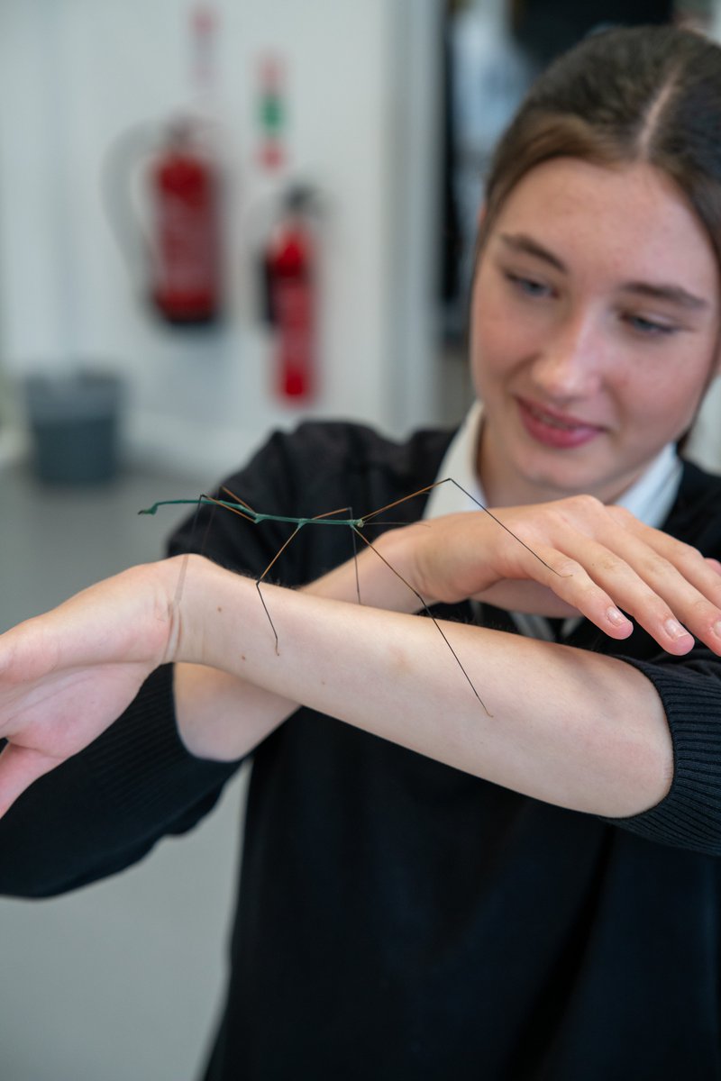 kgvsixthform's tweet photo. Today we welcomed @SHS_Stanley52 to KGV for their Year 10 Taster Day! 🎉

From exploring the campus, to meeting teachers (and some creepy crawlies 😉), we had a great day hosting you all &amp; hope you see you again soon! Thank you to all of Stanley's students &amp; staff. #ProudToBeKGV https://t.co/Tibj7hRSxr
