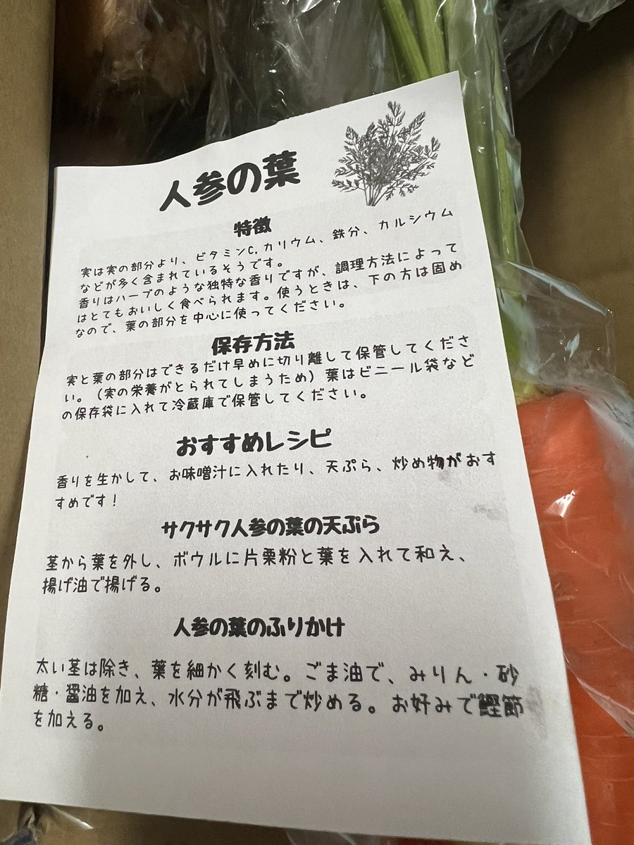 Ruby_2021823's tweet photo. @dwHKmarron 先日チャリティーの会場を提供してくれた農家さんから購入して届きました👩‍🌾✨
しかも無農薬なので安心です🙌
立派すぎる葉っぱに驚きました😆
乾燥させても食べてくれるのでルビちゃん毎日人参パーティーできそうです🥕✌︎ https://t.co/eJPnbz5vNr