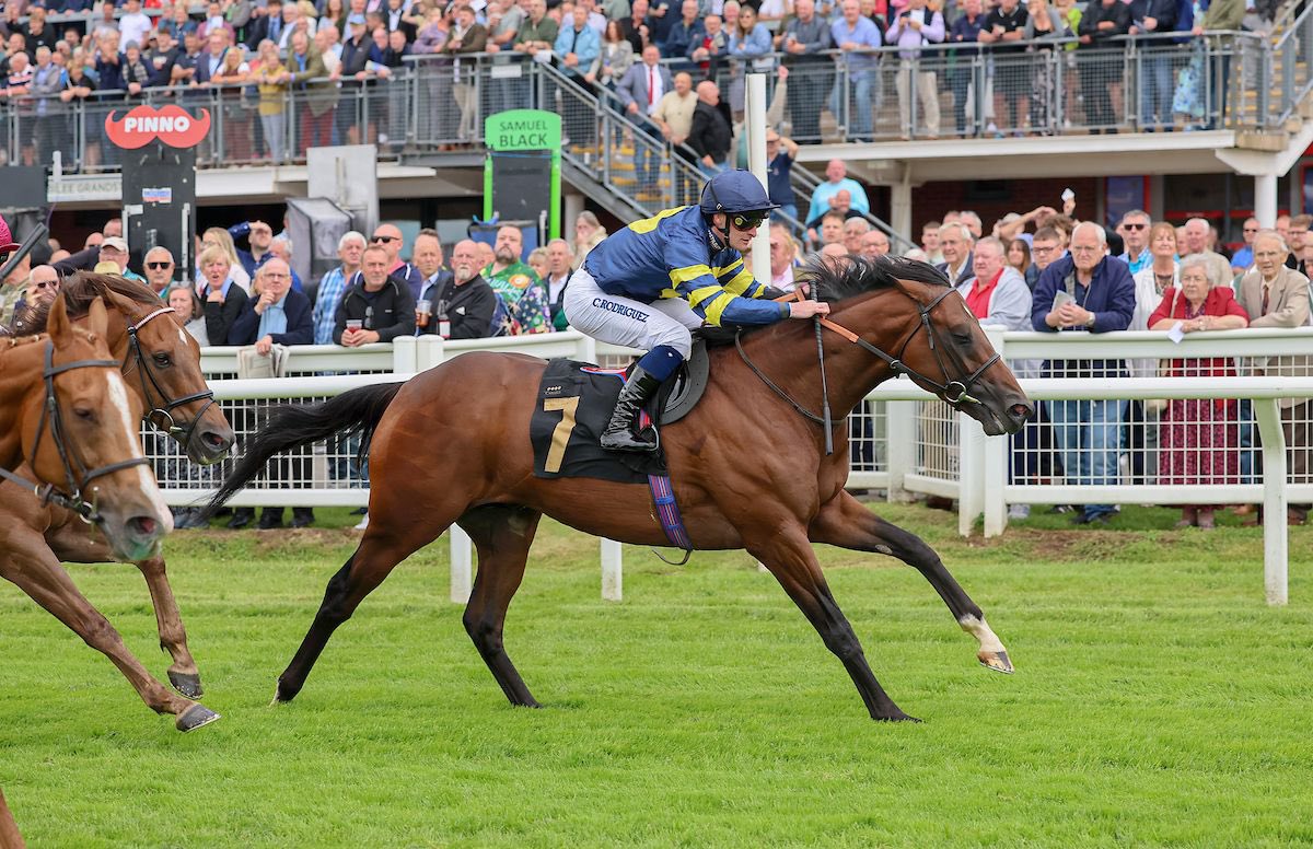 Hot Cash returns to the winner’s enclosure this afternoon at Carlisle under jockey Callum Rodriguez. Many congratulations to his owners, Six Or Sticks (TDH) 🏆

#JackChannonRacing