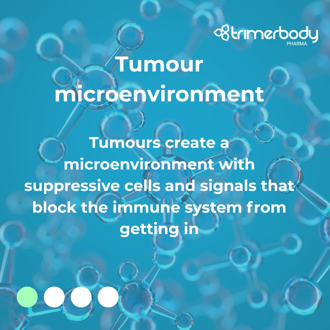 TrimerbodyPh's tweet image. Unlike haematological tumours like leukaemia, solid tumours such as breast, lung or colorectal cancer present physical and biological barriers that make treatment more challenging.
Scroll to learn about these barriers 🧱