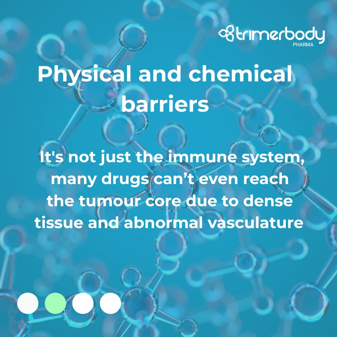TrimerbodyPh's tweet image. Unlike haematological tumours like leukaemia, solid tumours such as breast, lung or colorectal cancer present physical and biological barriers that make treatment more challenging.
Scroll to learn about these barriers 🧱