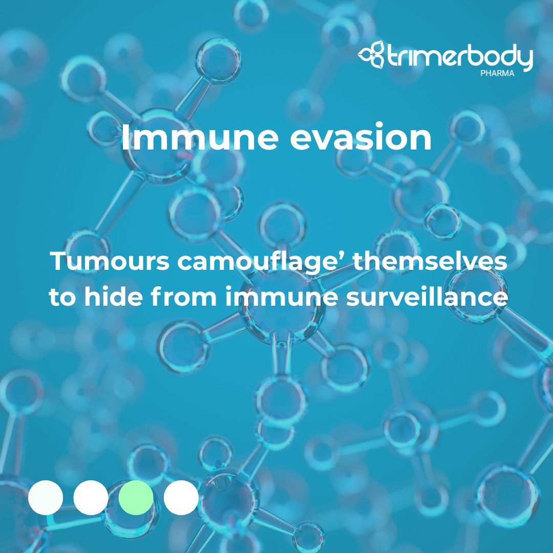 TrimerbodyPh's tweet image. Unlike haematological tumours like leukaemia, solid tumours such as breast, lung or colorectal cancer present physical and biological barriers that make treatment more challenging.
Scroll to learn about these barriers 🧱