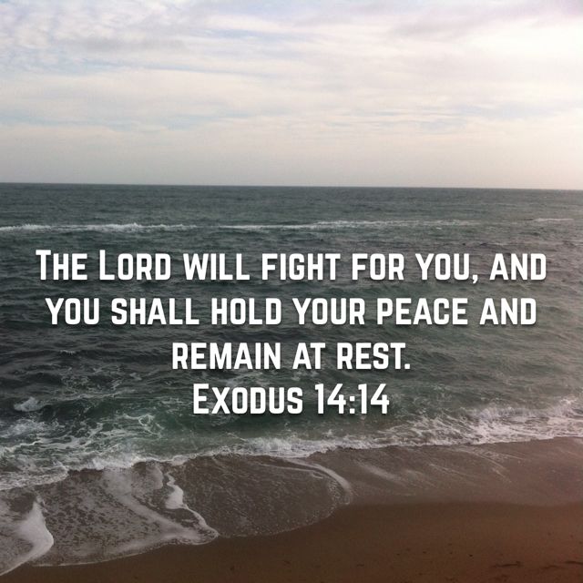 Be at  peace the Lord will fight your battles.