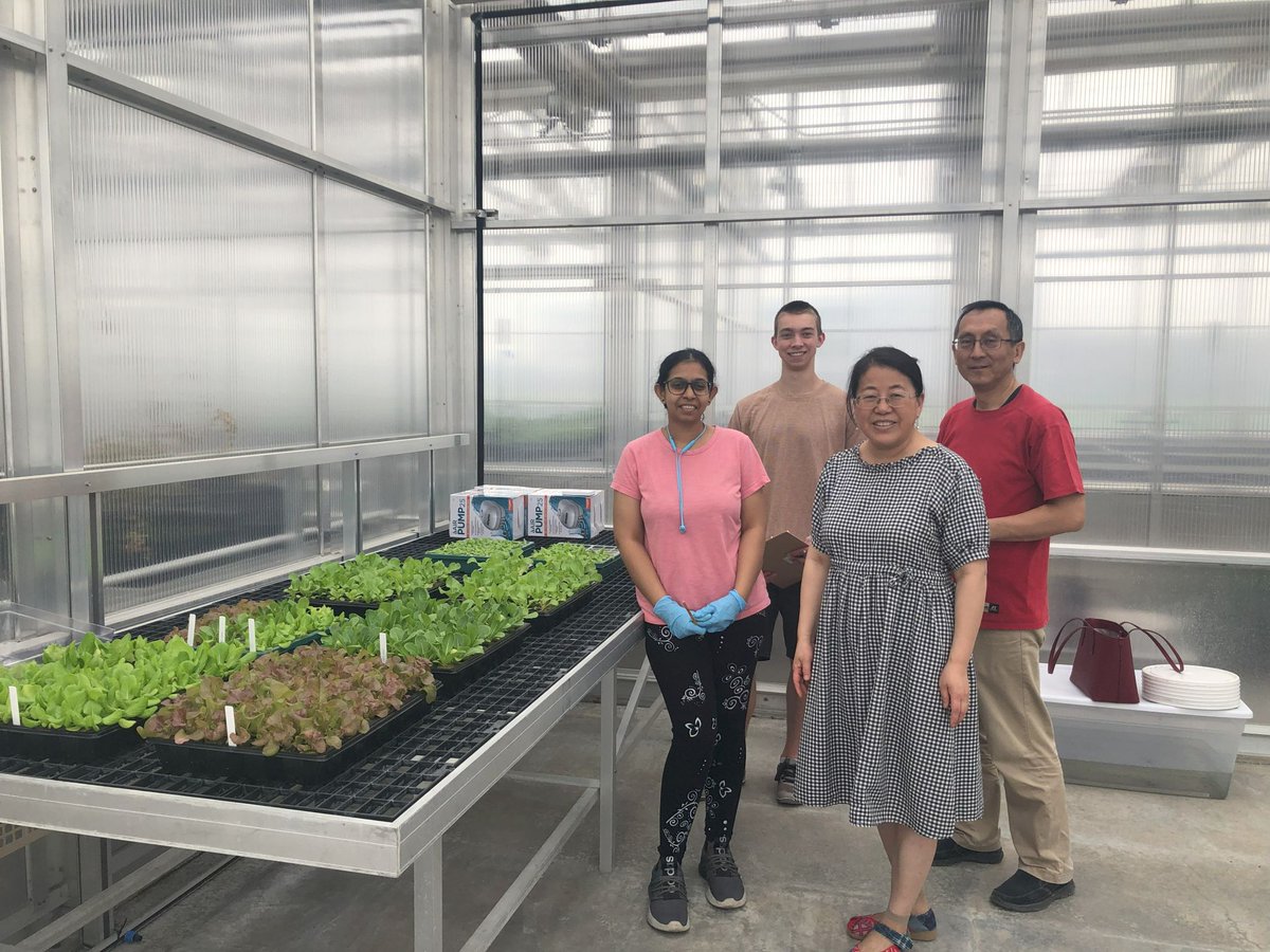 NDAgExpStation's tweet image. Our short growing season might have just met its match. NDSU's Dr. Xinhua Jia is leading research in Controlled Environment Agriculture (CEA) to ensure #FoodSecurity and boost year-round production in our state. ndsu.edu/news/2025-06-2… #NDSU #AgInnovation