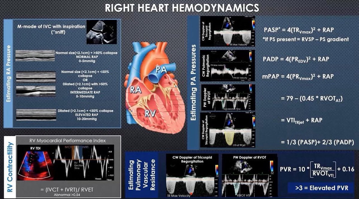 Jay Mohan, D.O., FACC, FSCAI, FASE, RPVI (@drjaymohan) on Twitter photo With echo boards coming up how about some Echo Hemodynamics??
❤️Here is a great resource for all you studying for echo boards on common hemodynamic equations used in echocardiography. One of my favorite parts of echo is the amount of hemodynamic data you can obtain non With echo boards coming up how about some Echo Hemodynamics??
❤️Here is a great resource for all you studying for echo boards on common hemodynamic equations used in echocardiography. One of my favorite parts of echo is the amount of hemodynamic data you can obtain non