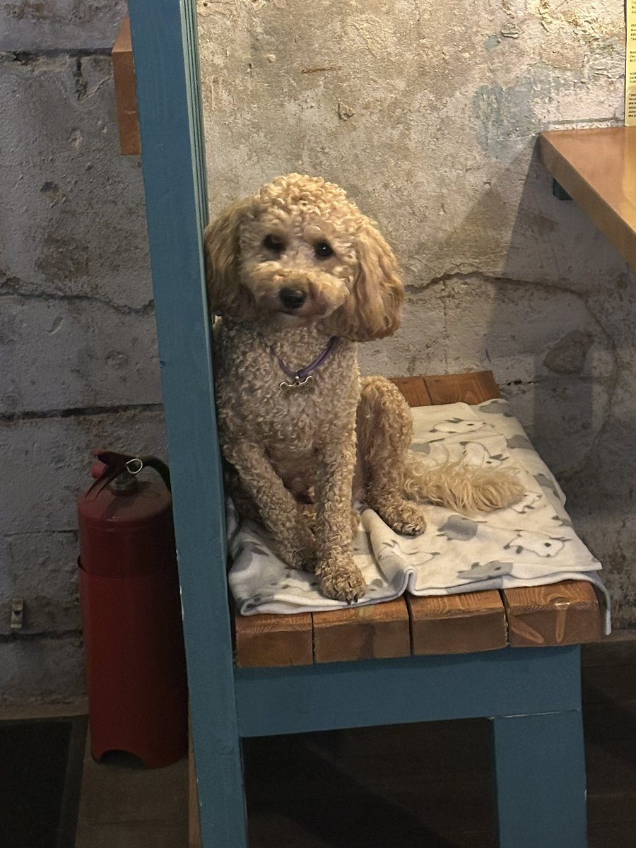 Это мы администратора Персика выстрелили на днях :3