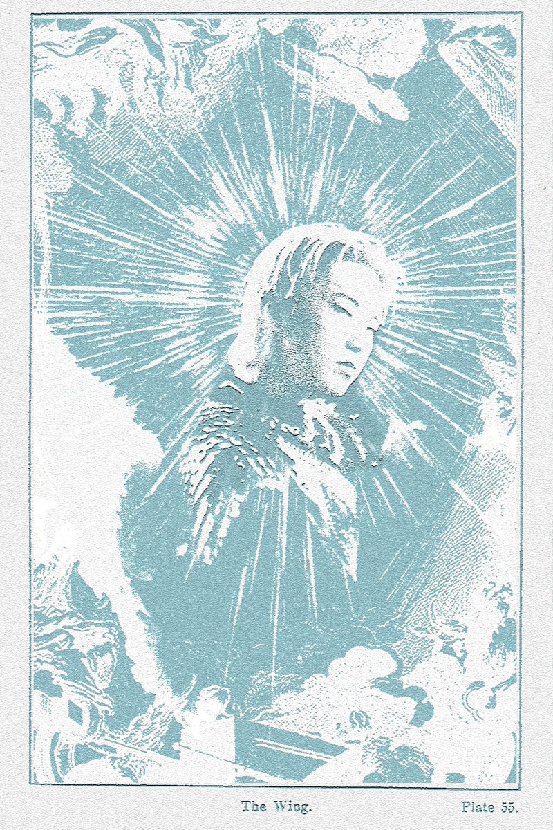 #호시: one day... i am gonna grow wings 🪽