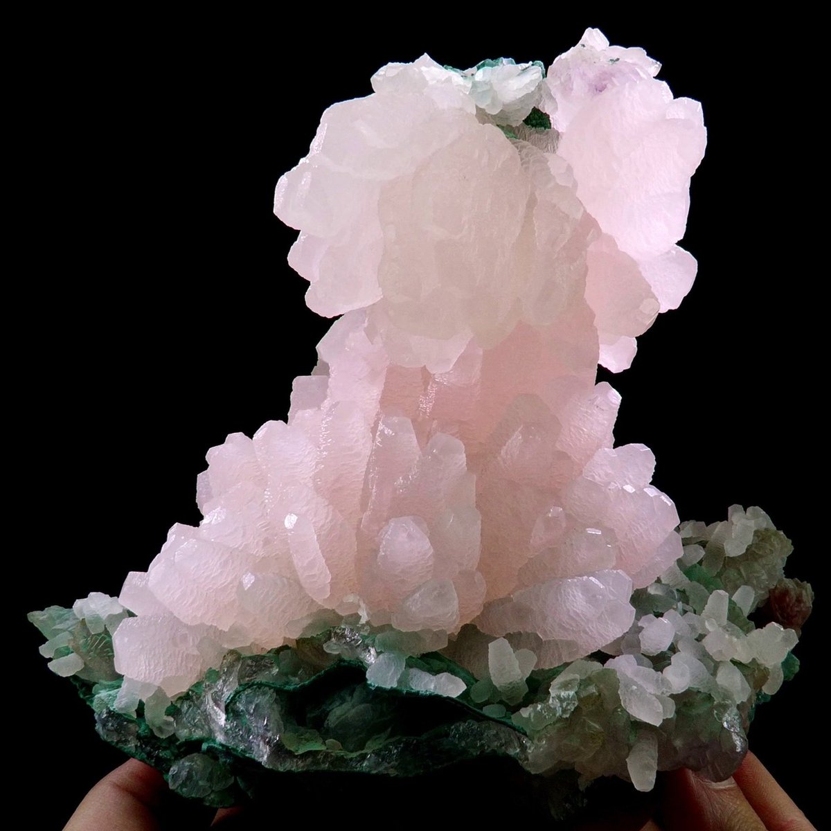GeologyTime's tweet photo. Manganocalcite from Irai (Brazil)

Photo: cristosud_minerals https://t.co/6VnXy1xB5n