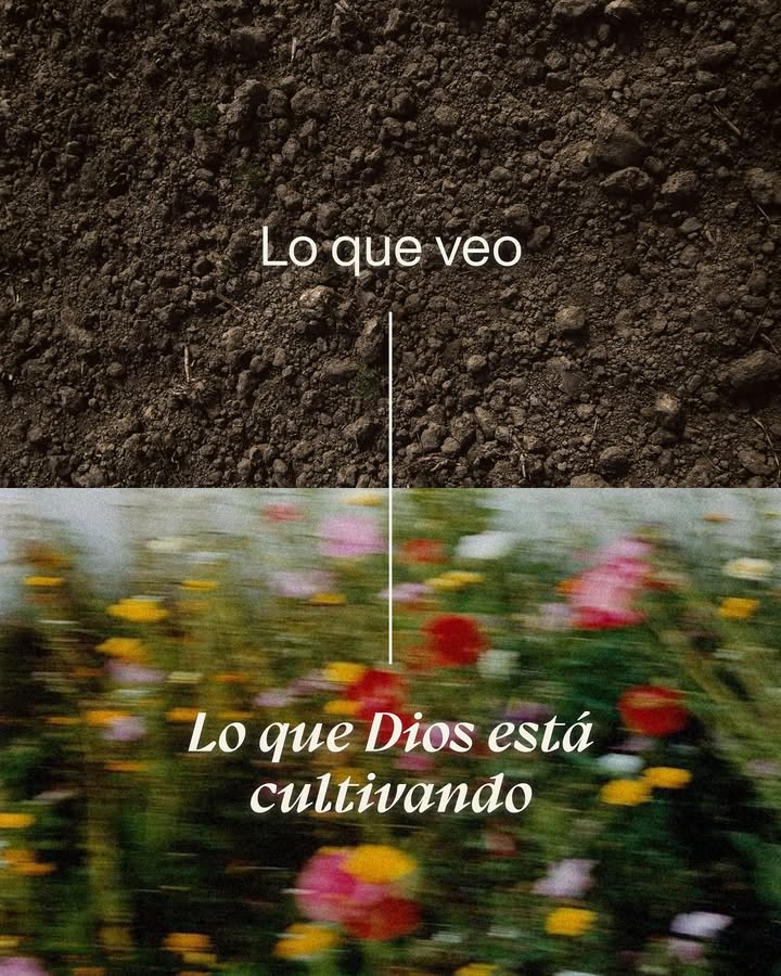 elsiervo__'s tweet photo. https://t.co/Osj0rwgwWs