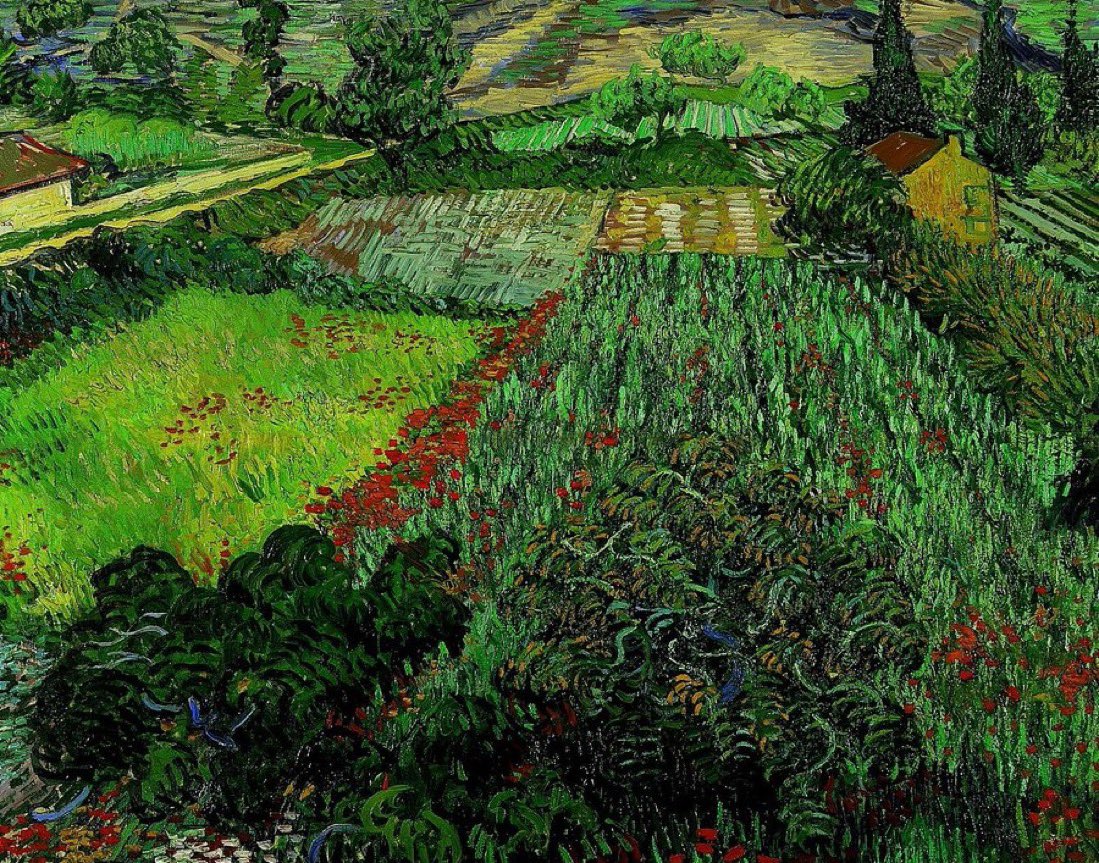 Vincent van Gogh's wheat fields