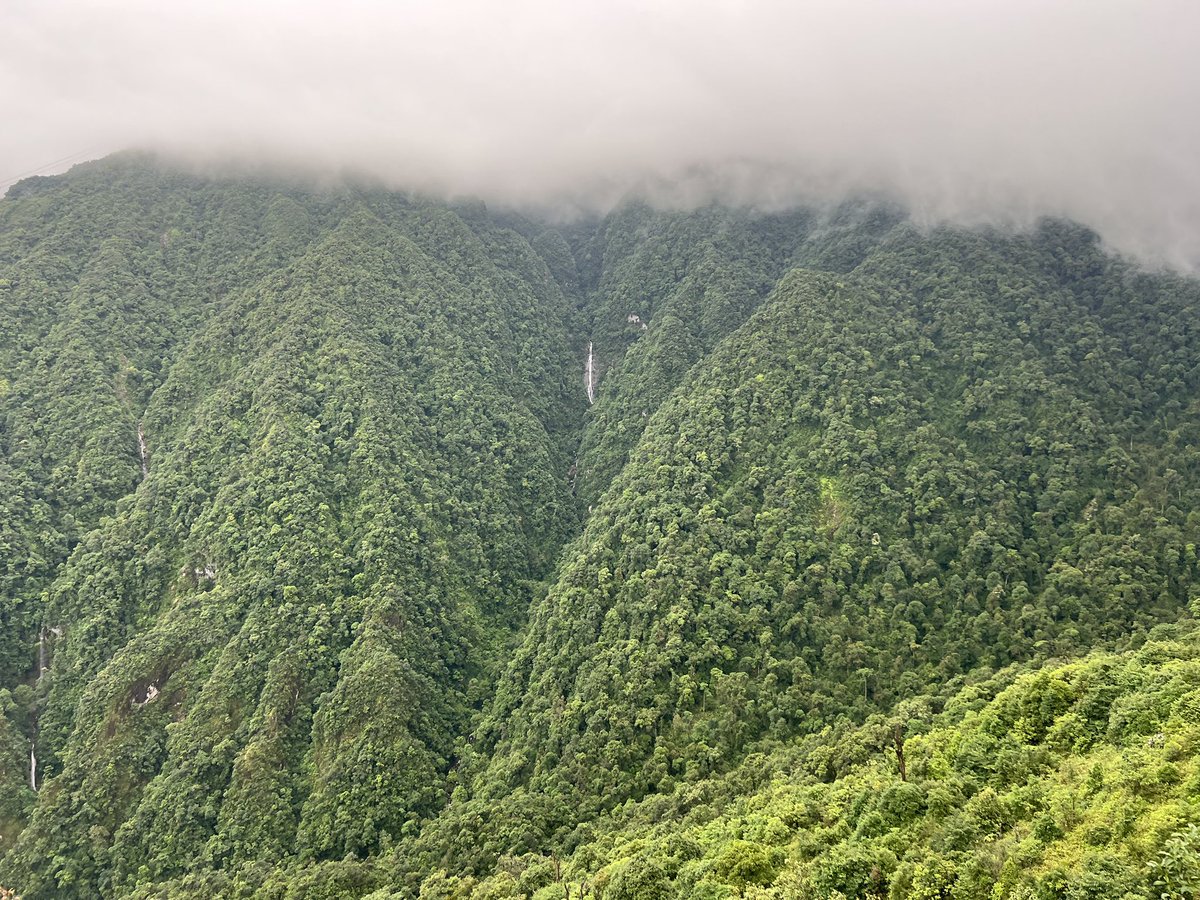 Fastbash88's tweet image. Jungle Hikes in Vietnam