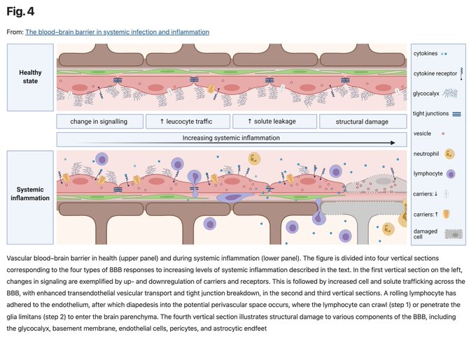 Image in tweet by Analyze & Optimize