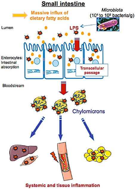 Image in tweet by Analyze & Optimize