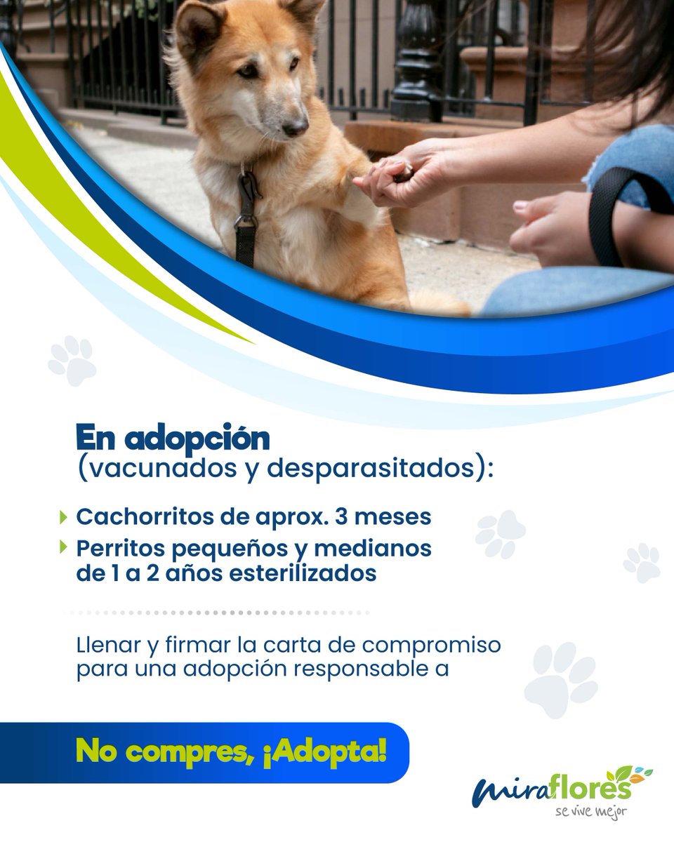 Muni de Miraflores (@munimiraflores) on Twitter photo 🐾💛 ¡Adopta amor en Adoptapets! 🐾
✨ Este sábado 28 de junio acompáñanos en nuestra campaña de adopción responsable de perritos que buscan una segunda oportunidad.
📍 Parque Salazar
🕘 De 9:00 a. m. a 12:30 p. m.
Ven, conoce a tu futuro mejor amigo y llévate a casa una vida 🐾💛 ¡Adopta amor en Adoptapets! 🐾
✨ Este sábado 28 de junio acompáñanos en nuestra campaña de adopción responsable de perritos que buscan una segunda oportunidad.
📍 Parque Salazar
🕘 De 9:00 a. m. a 12:30 p. m.
Ven, conoce a tu futuro mejor amigo y llévate a casa una vida