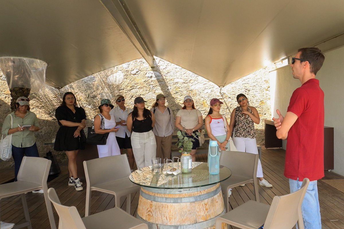 EUHTStPOL's tweet image. 🍇Visita a @ALTAALELLA 

🍷El alumnado del curso de verano visitó hace unos días la bodega Alta Alella para conocer el viñedo, descubrir el proceso de elaboración del vino y disfrutar de una cata de algunos de sus vinos ecológicos.

#EUHTStPOL #AltaAlella #CursoDeVerano