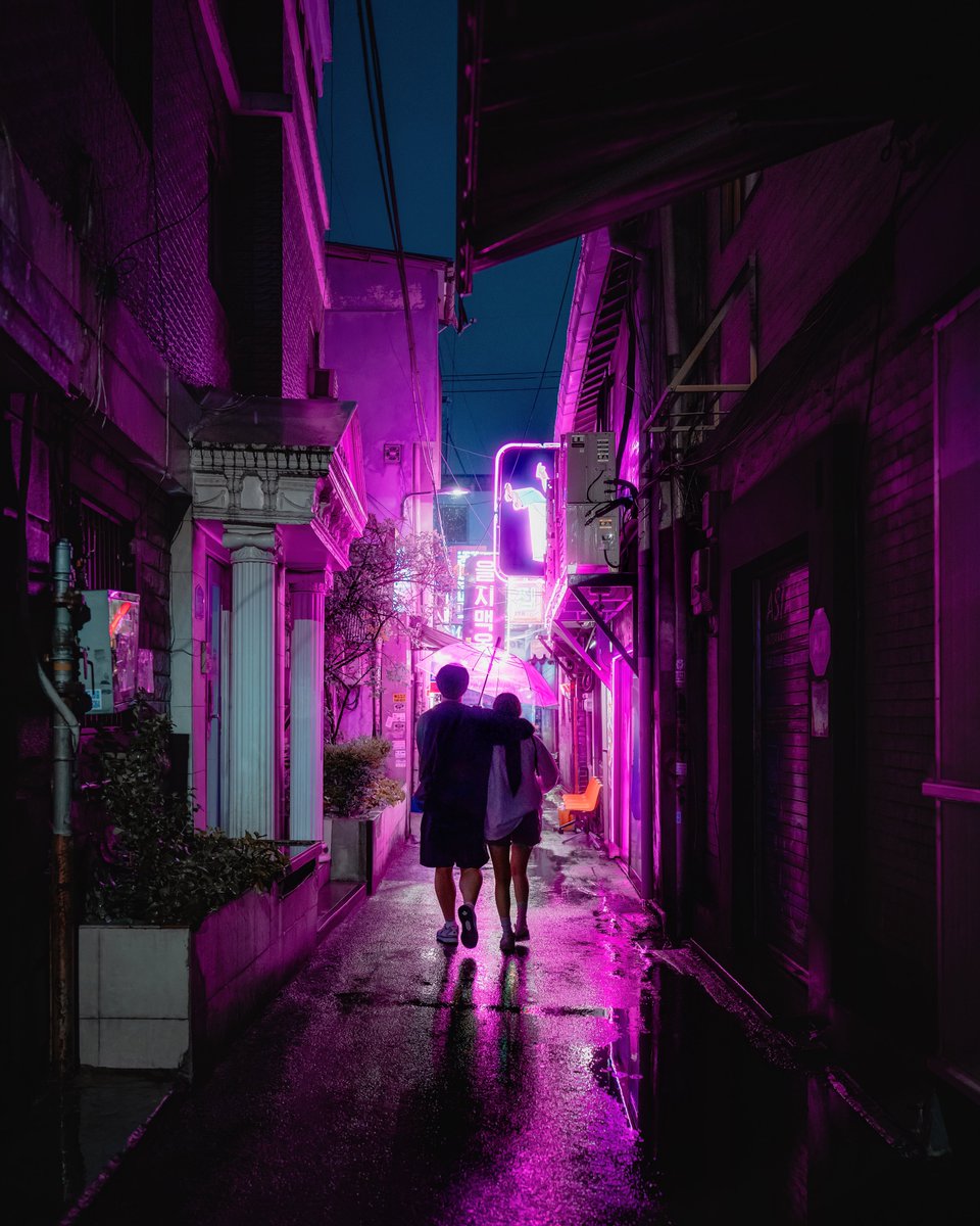 neon nights of seoul
