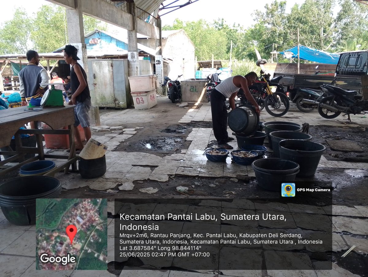 ELuhkan's tweet photo. Rabu(25/06/2025), Eko Santoso-Luhkan Deli Serdang, KUB Ar-Jaya, TPI Bagan Serdang#produksi tangkap ; Senangin 2kg, Kembung 1kg, Gulama 5kg, Cincaro 2kg ; hargalelang#GiatLuhkanSatmingkalMedan#LuhLapor
#KabDeliSerdang
@bppsdm_bp3Medan
@pusluhkp
@bppsdm_kp https://t.co/ZEv1oUil64
