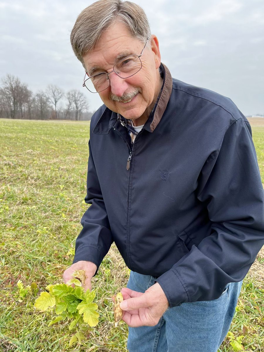 Join SHA and SoIL Farmers Network for the upcoming Soil Health Field Days in St. Jacob and St. Rose, IL

hubs.li/Q03tB4wG0