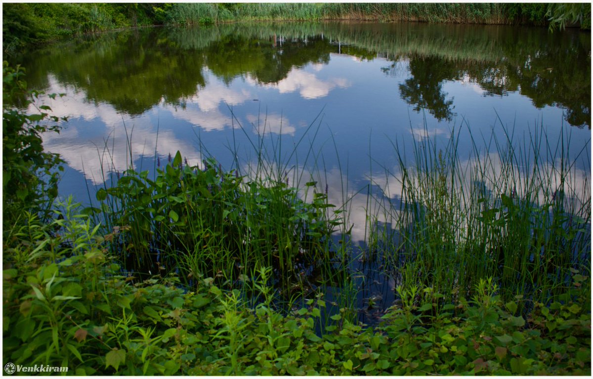 venkkiram's tweet photo. QP/share whatever you like for #WhateverWednesday
Mine, 👇
When the sky meets the earth… through water. 🌿☁️
#venkkiclicks #NatureMirror #PondLife #SkyReflection #WaterArt #PeacefulPlaces #CloudReflections #Reflections https://t.co/f7xiaxgXzF
