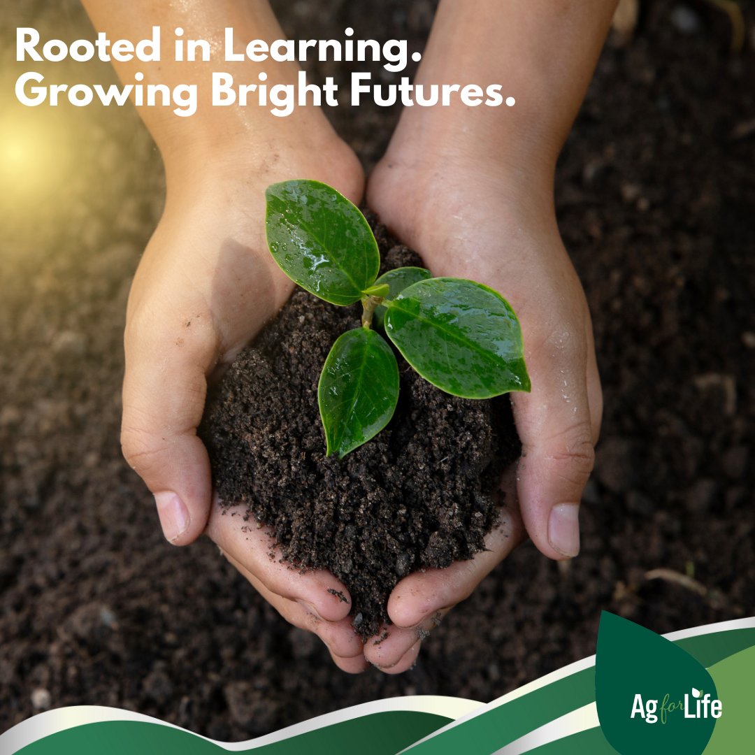 4AgForLife's tweet photo. 🌱 The future of agriculture is growing in classrooms. Real-world learning about food, land &amp; sustainability doesn’t just teach — it grows bright futures. 🌾 #AgEducation #GrowBrightFutures #EducationFirst #AgforLife #FutureAggies https://t.co/HTZjKUOKwC