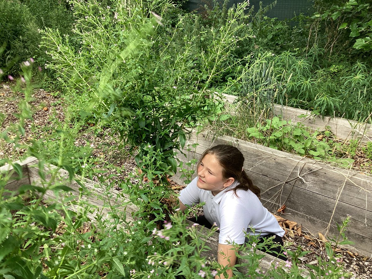 Ince CE Primary and Nursery School tweet media