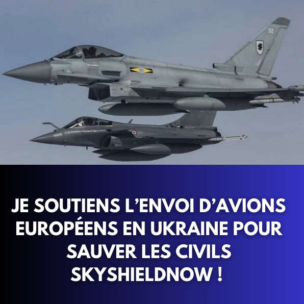 🇫🇷🇺🇦 Alors un IMMENSE merci à <a href="/fpetitAN/">Frédéric Petit 🇺🇦</a> de mener ce combat ! Et vous, chez vous, appelez vos élus, vos sénateurs et vos députés, écrivez leur, et demandez que la France se montre à la hauteur de l'Histoire : #SkyshieldNow !