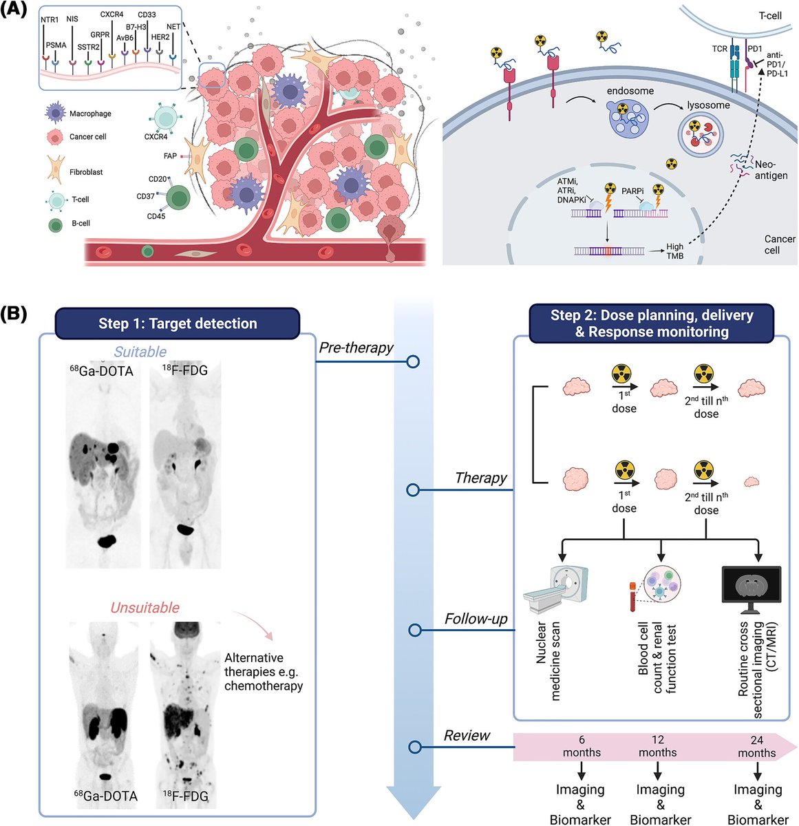 CA: A Cancer Journal for Clinicians (@cacancerjournal) on Twitter photo Radiotheranostics is becoming routine in patients w/ #ProstateCancer and neuroendocrine tumors who express proteins PSMA & SSTR2 on their cancer. Some w/ large metastatic burden show complete & partial responses. Learn more radiotheranostics approaches at:
acsjournals.onlinelibrary.wiley.com/doi/10.3322/ca… Radiotheranostics is becoming routine in patients w/ #ProstateCancer and neuroendocrine tumors who express proteins PSMA & SSTR2 on their cancer. Some w/ large metastatic burden show complete & partial responses. Learn more radiotheranostics approaches at:
acsjournals.onlinelibrary.wiley.com/doi/10.3322/ca…