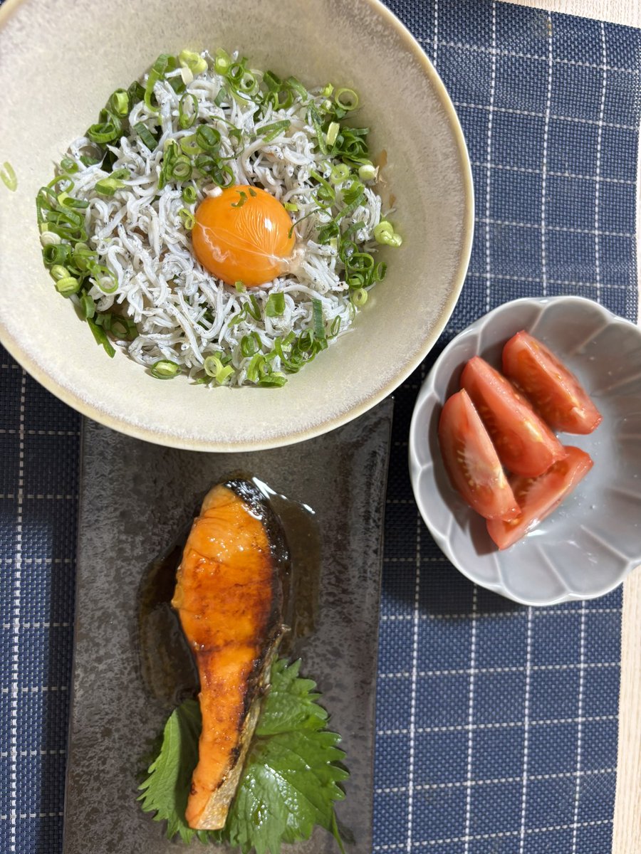 710sne's tweet photo. 簡単なものをとたくさん悩んだ結果シラス丼になりました！もちろん真ん中に卵も落としてね😊
#シラス丼
#鮭の照り焼き
#サーちゃんメシ
#お家ご飯 https://t.co/qRieyqCceJ