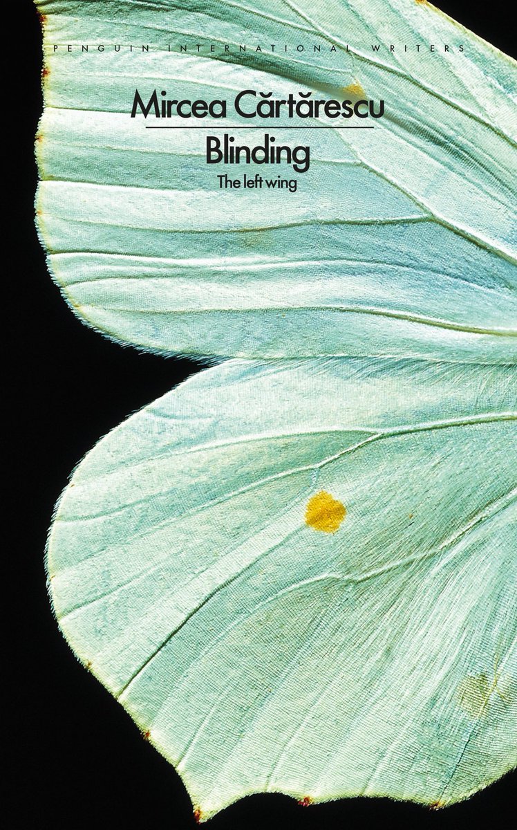 Cover is out for Mircea Cartarescu’s Blinding Vol 1 - and what a beauty!! Out in November 2025