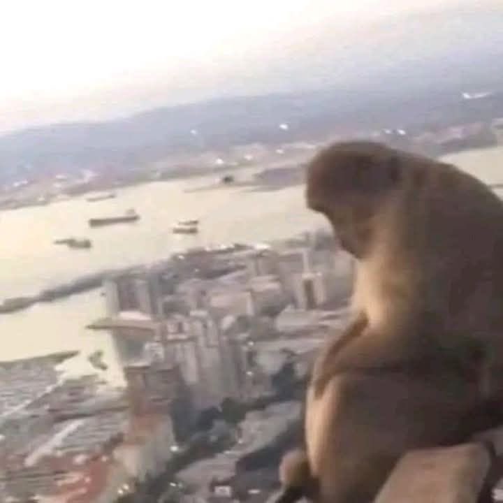 Ghost Azure tweet media