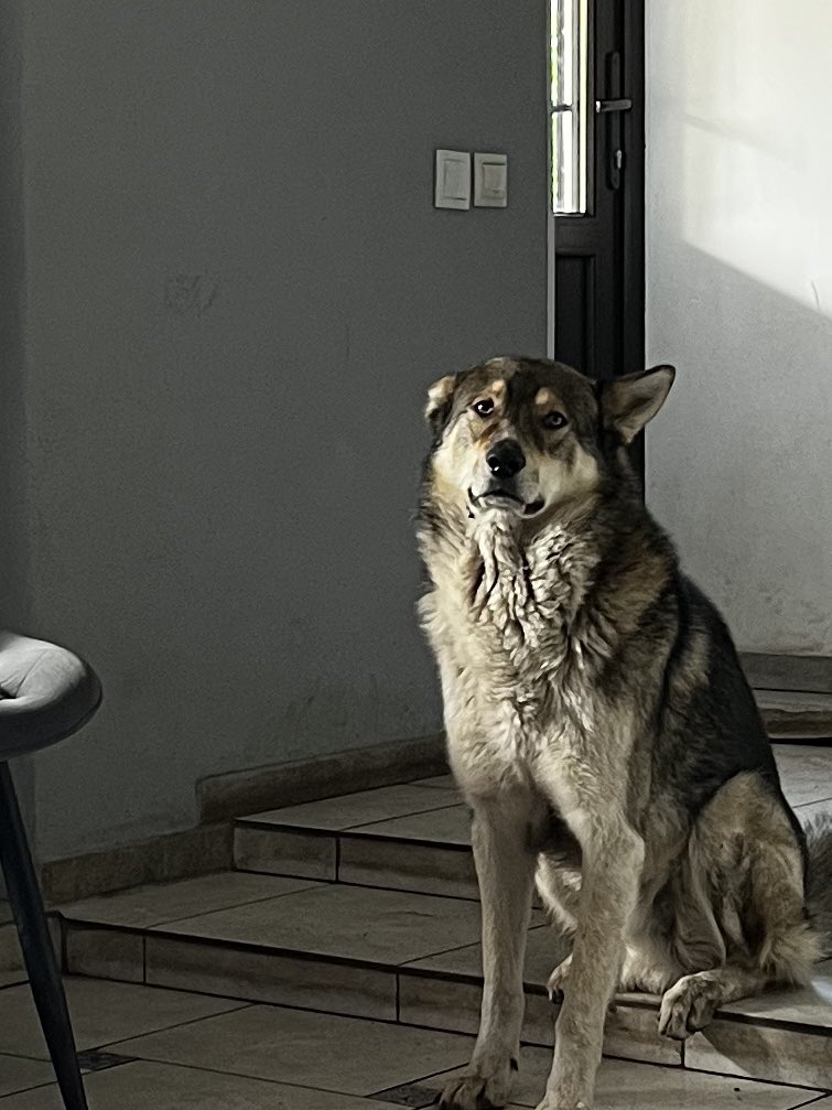 Залишилось менше 5,5 тисяч до трьох (!!!) аптечок!
Давайте трохи порухаємо збір