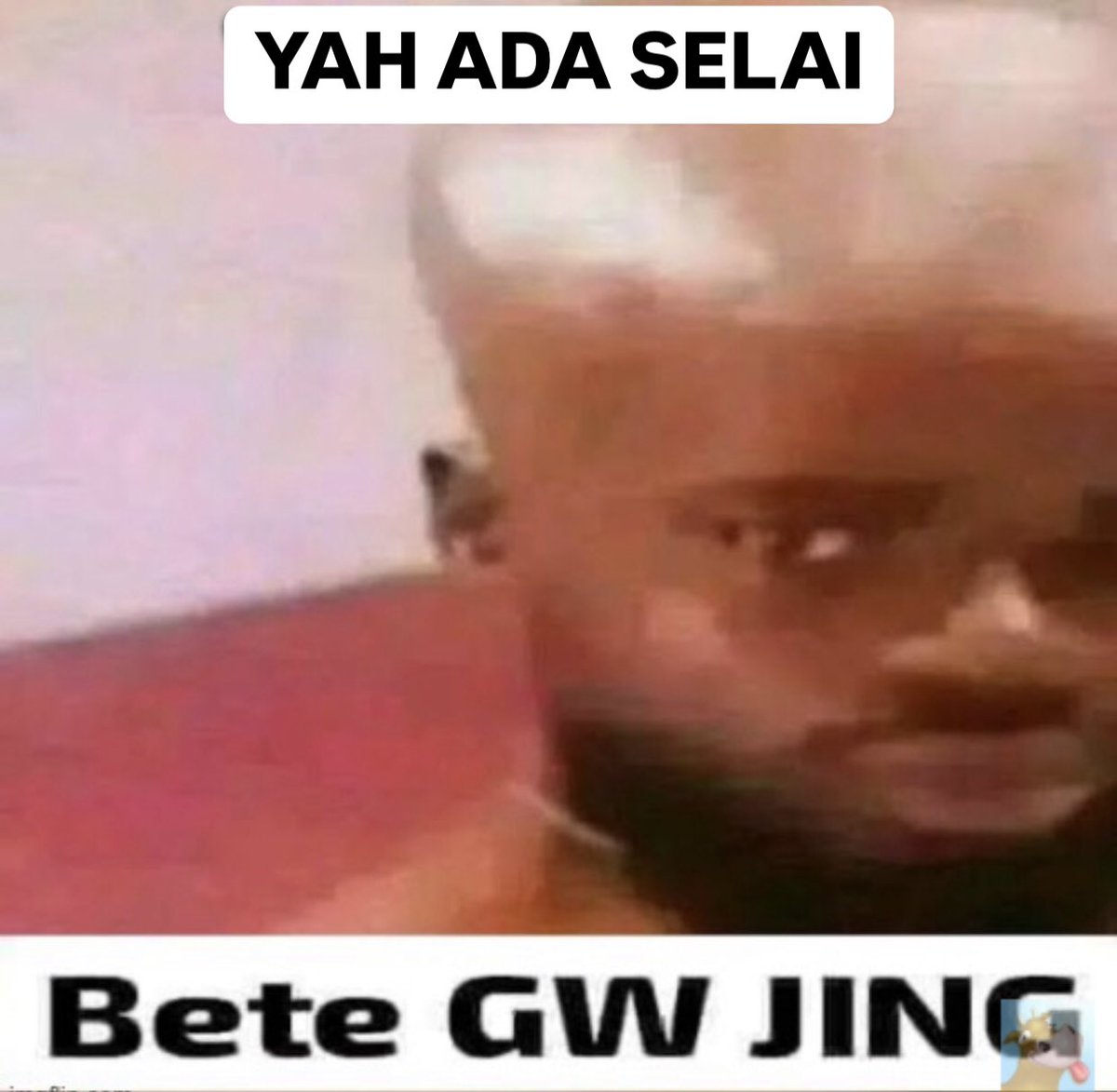 アレー tweet media