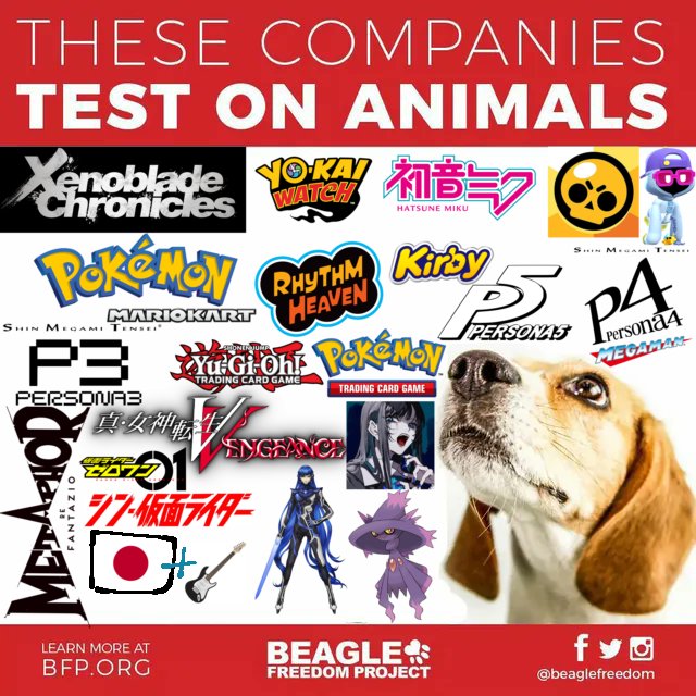 Kirgee🇧🇷 tweet media