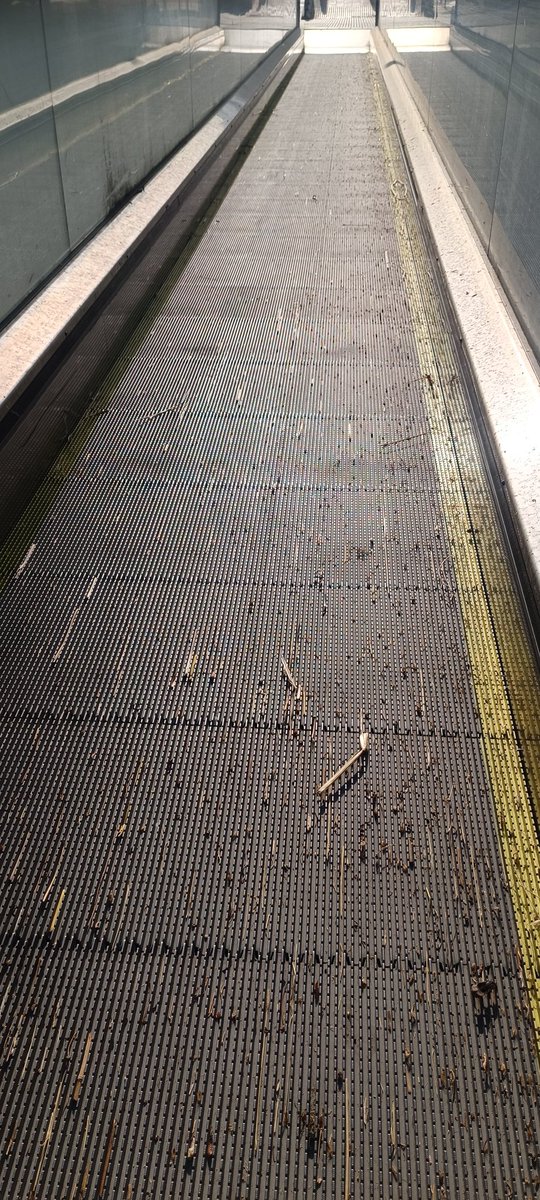 LauraMolina88's tweet photo. @granollers el últim tram de les rampes(al costat del tanatori) porta com 2 mesos sense funcionar i a sobre sembla que estigui abandonada ple de branquetes i les baranes trencades. Si us plau, podeu fer algo ASAP?I també posar en funcionament el 2n i 3r tram que están en "obres"? https://t.co/6lkjchiDbo