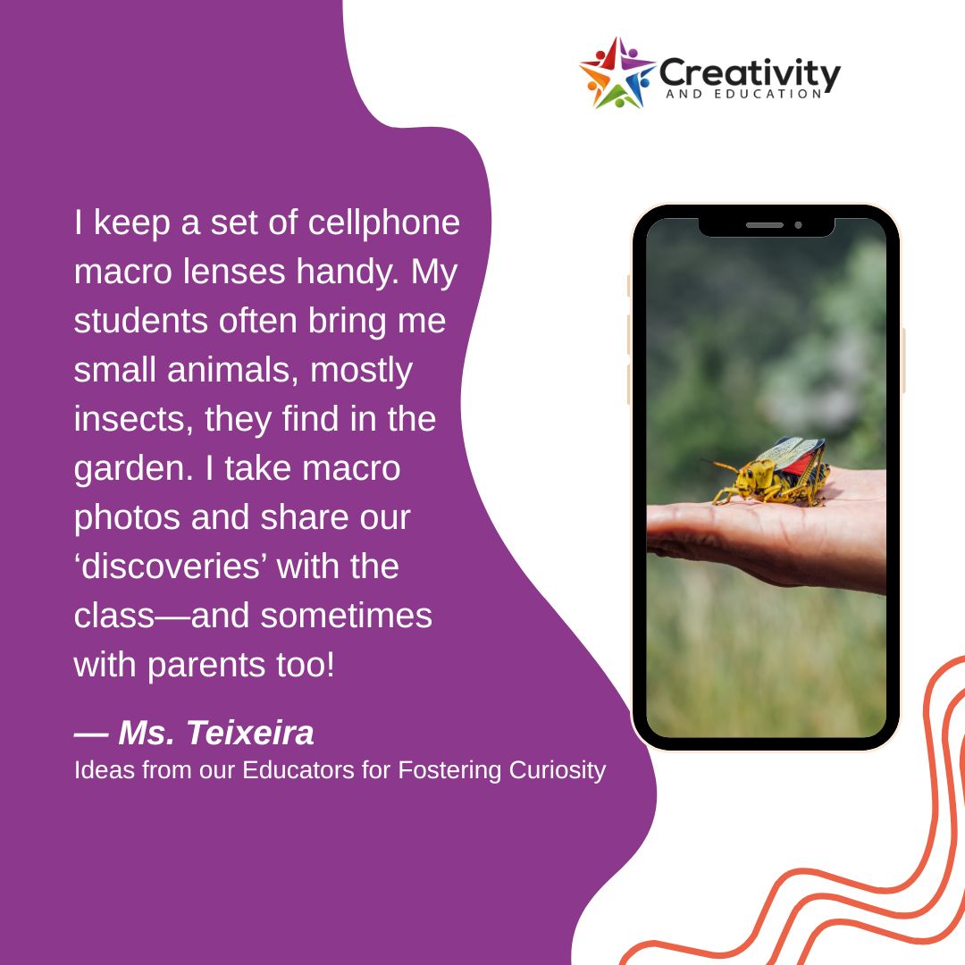 CreativityandE's tweet image. 🌿 “I keep cellphone macro lenses in my desk!”
—Ms. Teixeira, on turning garden bugs into learning tools 🪲💡
Get inspired. Then grab a copy of Weaving Creativity into Every Strand of Your Curriculum by Dr. Cyndi Burnett.
#OutdoorLearning #InspireWonder