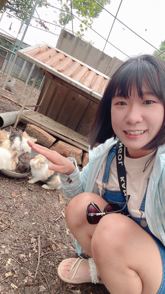 juveislee123's tweet photo. 「可愛い🧸、ふわふわ🐰
 𝕎𝕖𝕝𝕔𝕠𝕞𝕖どうぶつの森🌳」

直接到森林裡面認識了更多新朋友～🐱🐹🐰🐻
還看到漂亮的藍眼睛兔兔✨
要不要跟著小希 一起森林探險呢～🩵🩵

#動物の楽園 #ふわふわ #どうぶつの森 
#かわいい女の子 #うさぎ #くま 
#kawaii #taiwangirl #🐧 
#ぞみっちです🩵 https://t.co/UBIOigUO9U