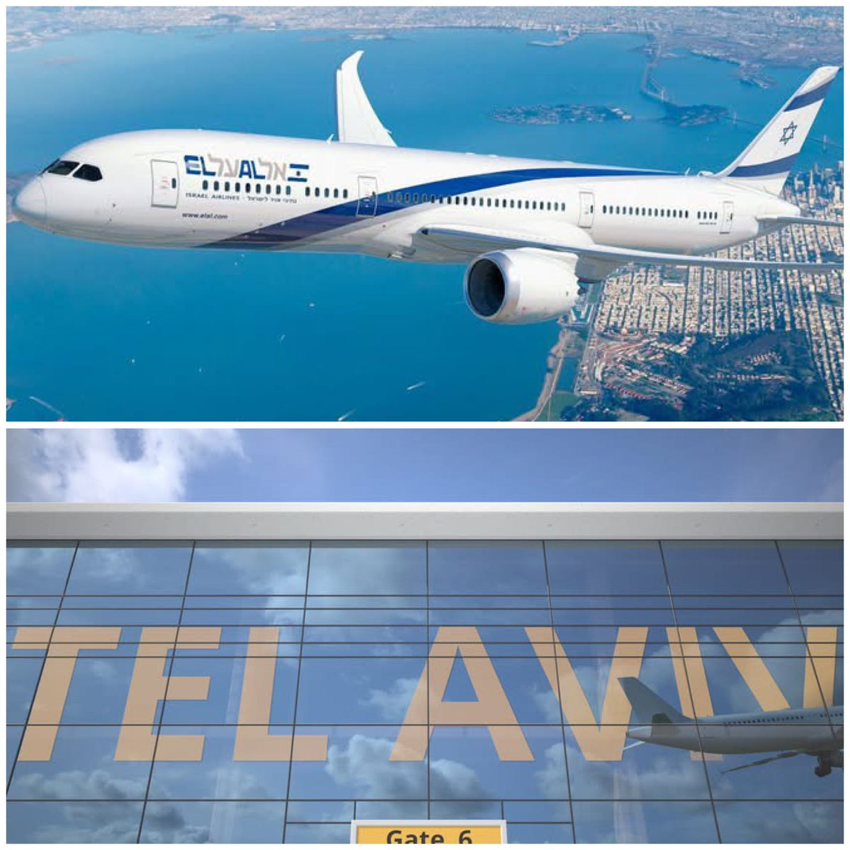 EliAfriatISR's tweet photo. Would you like to visit Tel Aviv?

Yes or no. https://t.co/5v4zpRX2ib