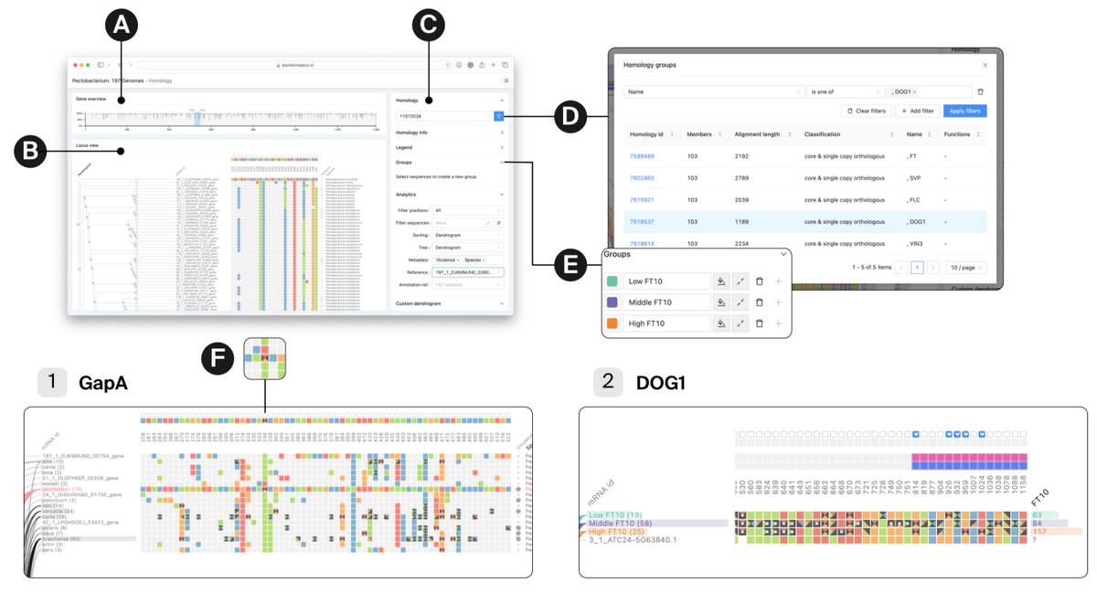 razoralign's tweet photo. PanVA: a visual analytics tool for pangenomic variant analysis https://t.co/oDlSx0RzgF https://t.co/R0ApJanfeb