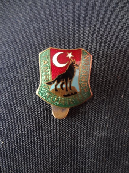 Tanrı Türkü korusun